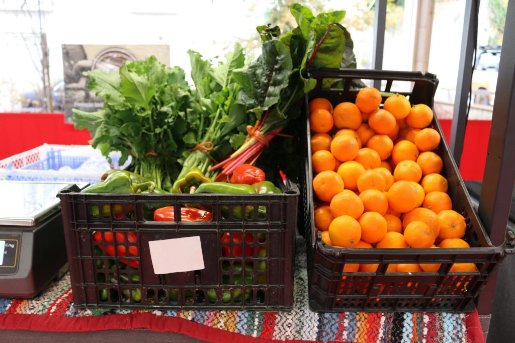 Feira dos Produtos da Terra