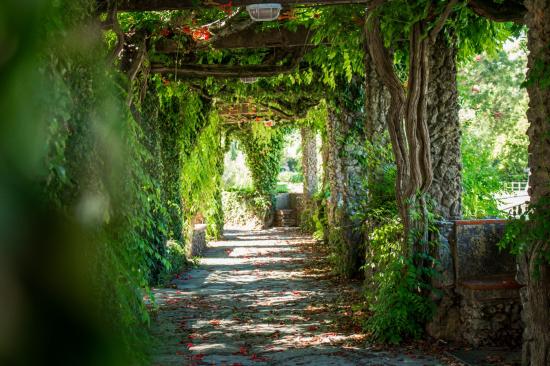 Jardins e espaços verdes