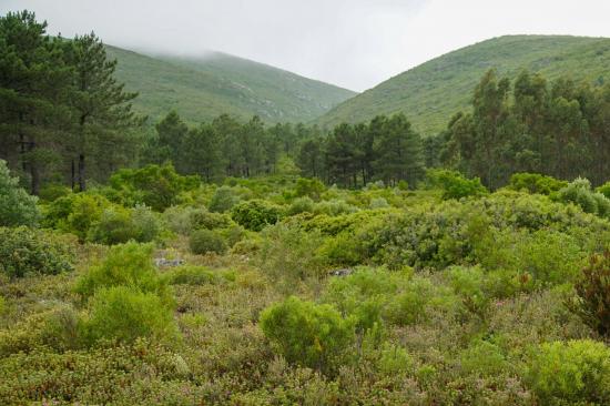 Parque Natural das Serras de Aire e Candeeiros (PNSAC)