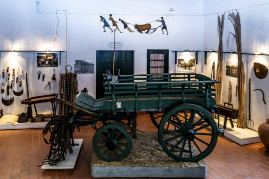 Museu Agrícola de Riachos